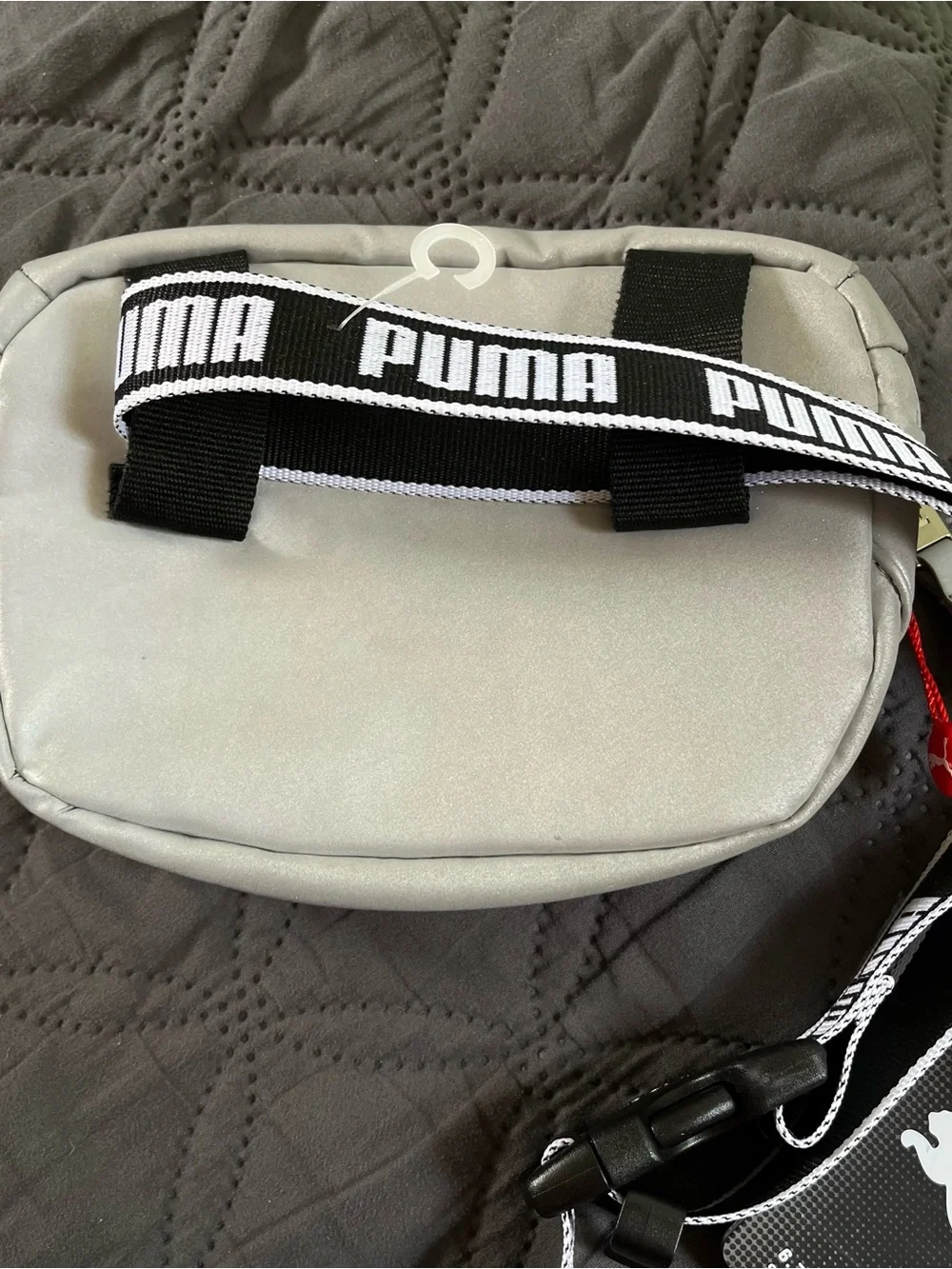 Puma Silver PU 13